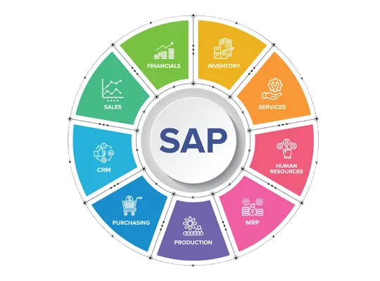 SAP Consulting Services